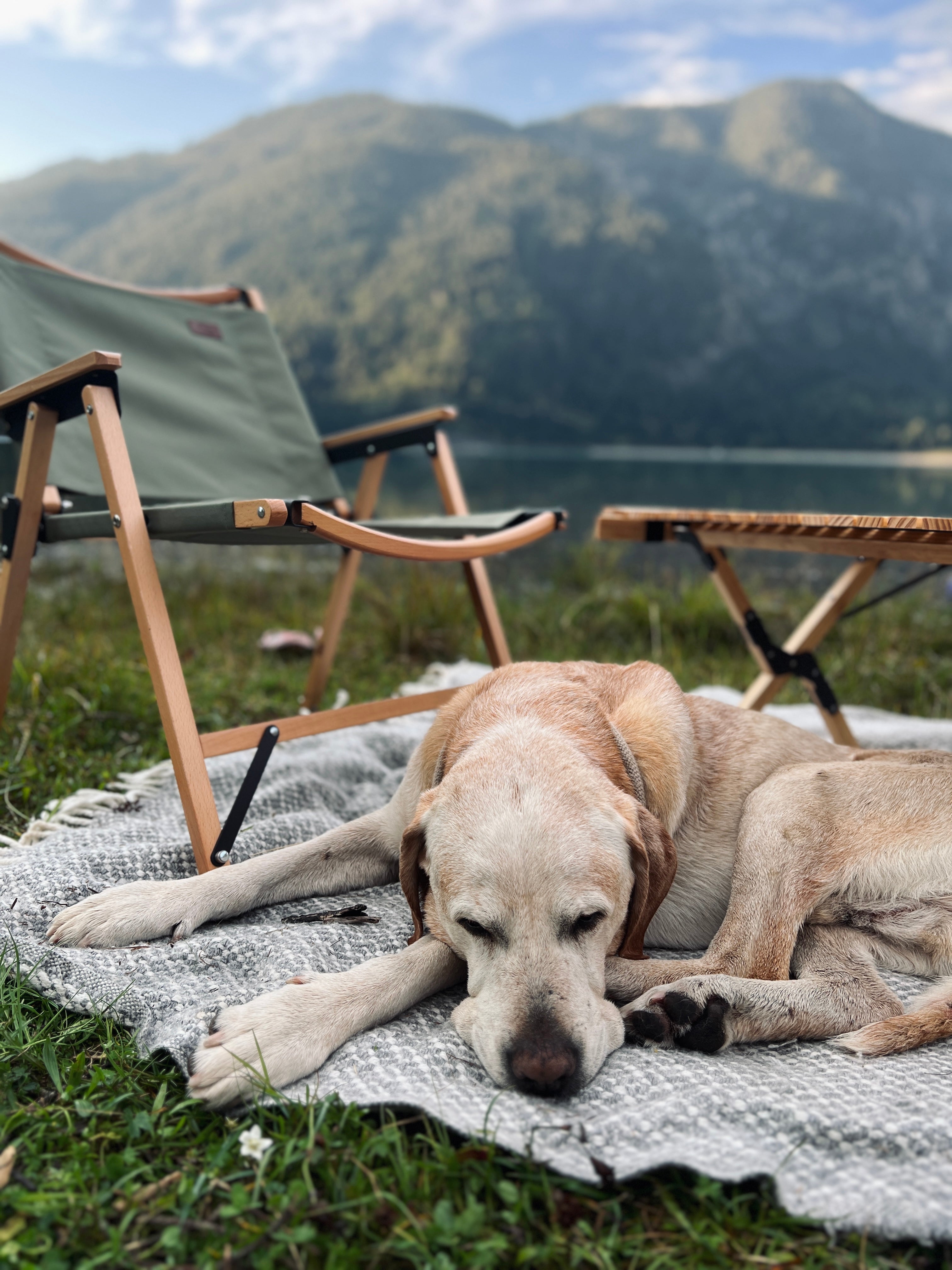 Camping Sauvage - Ihr Abenteuer in der Natur erleben